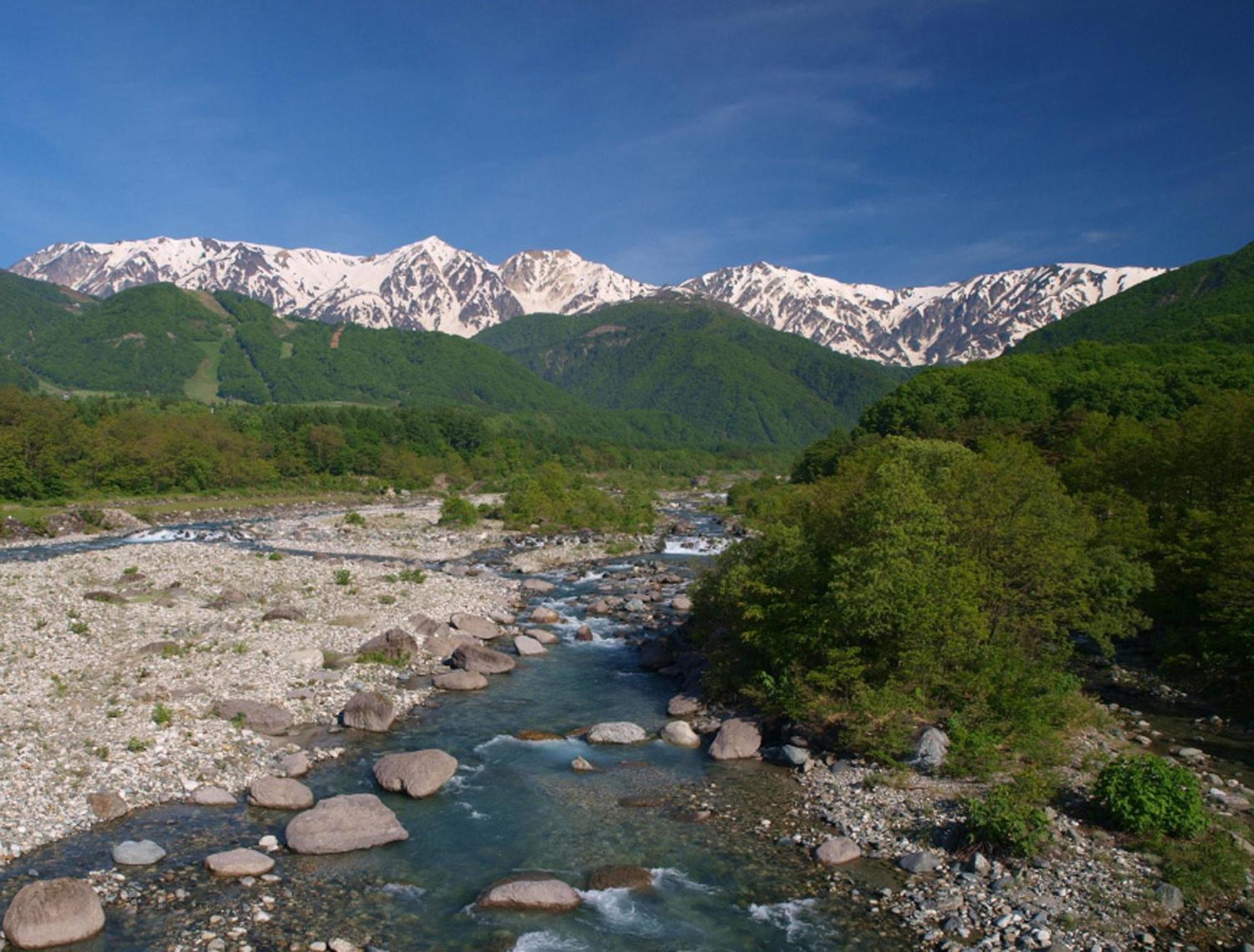 Hakuba Mominoki Hotel Extérieur photo