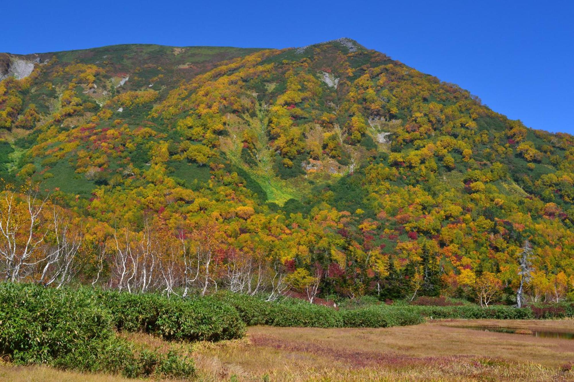 Hakuba Mominoki Hotel Extérieur photo